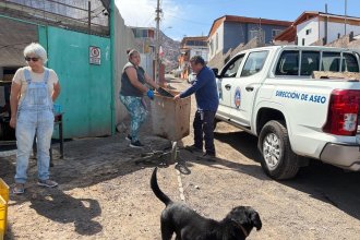 WhatsApp Image 2025-12-26 at 12.20.14.jpeg-comprimido.jpg